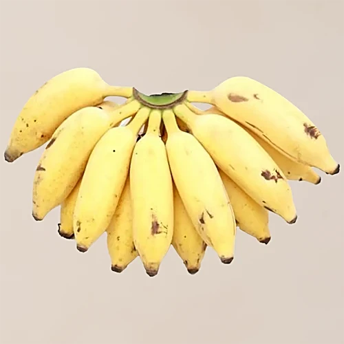 Banana  (12 PC, 6PC)
