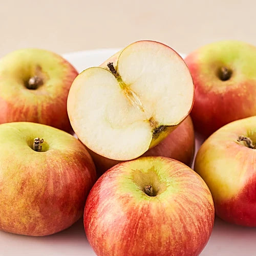 Apple Kashmir  (1 Kg, 500gm)